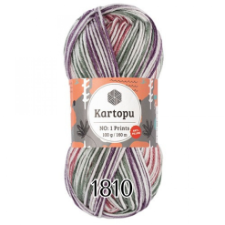 Kartopu No.1. Prints 1810